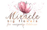 Hochzeit Sachsen-Anhalt - Details zu Miracle Big Flowers